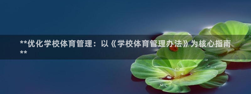 必一体育怎么下载：*