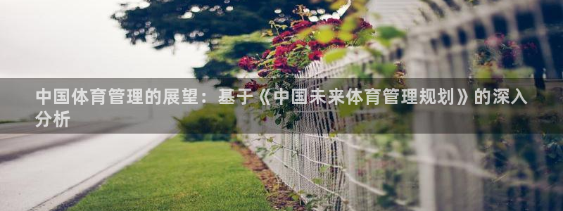 必一体育sport下