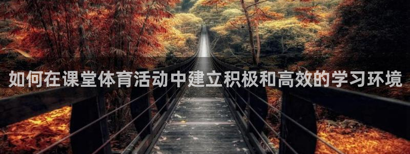 必一体育app官方网