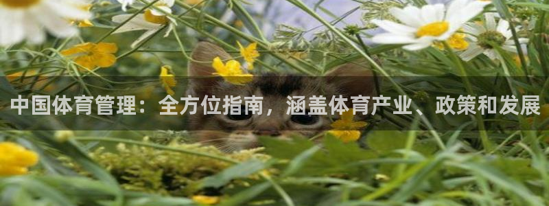 必一体育运动平台官网