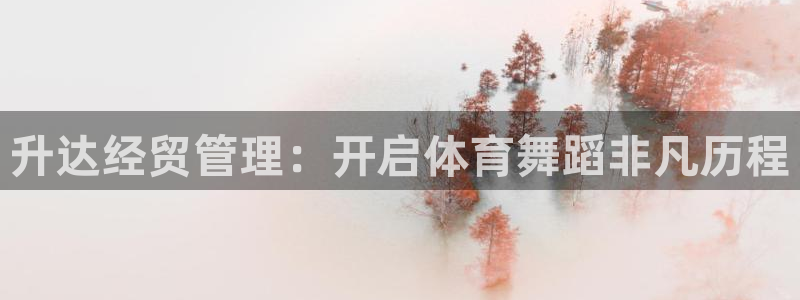 必一体育没了：升达经