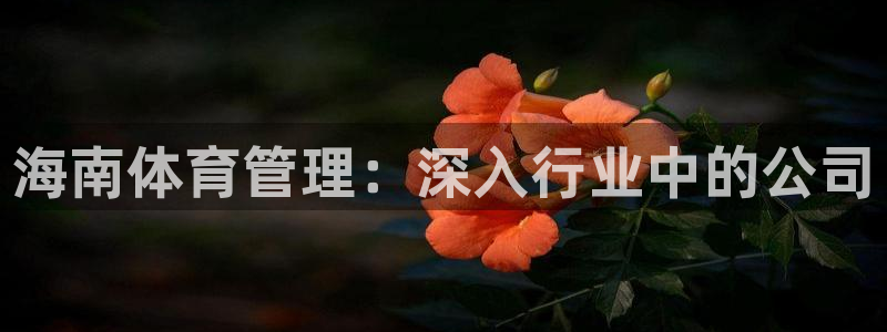 必一体育电子app：