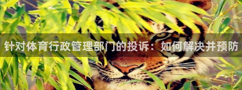 必一体育sport网