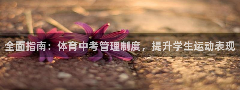 必一体育app平台下