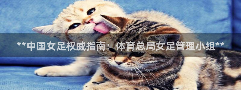 必一体育最新官网入口