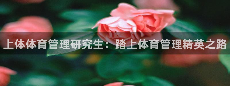 必一体育运动官网：上