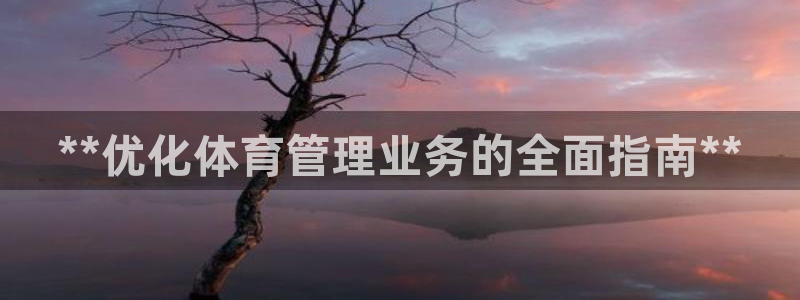 b体育必一下载：**