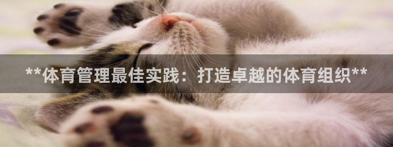 必一体育app下载最