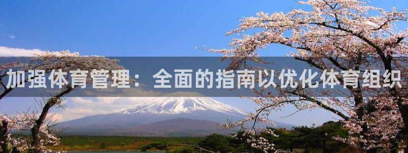 必一体育sport官