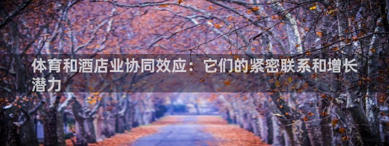 必一体育sport官