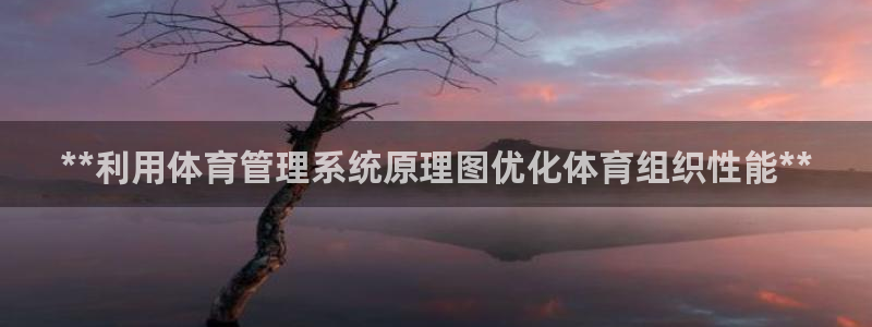 必一体育sport网