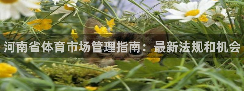 必一体育全站在线登录
