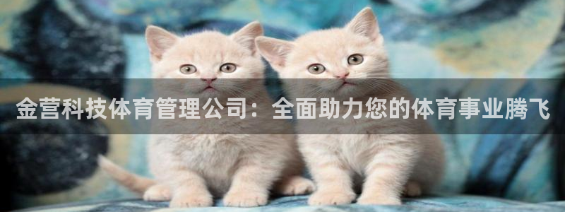 必一运动sport爱