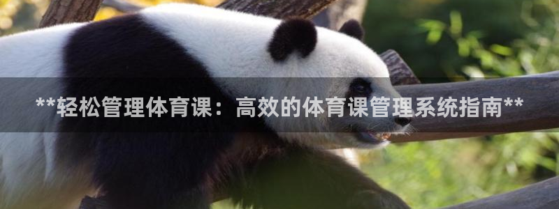 必一体育官方下载入口
