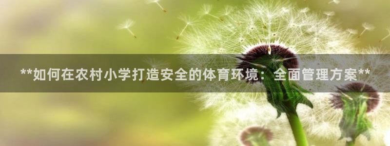 必一体育电子app：