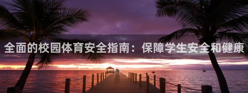 必一体育APP：全面