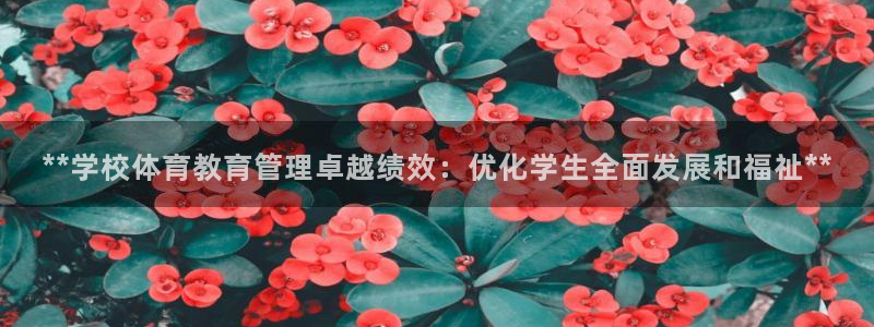 必一体育登入：**学
