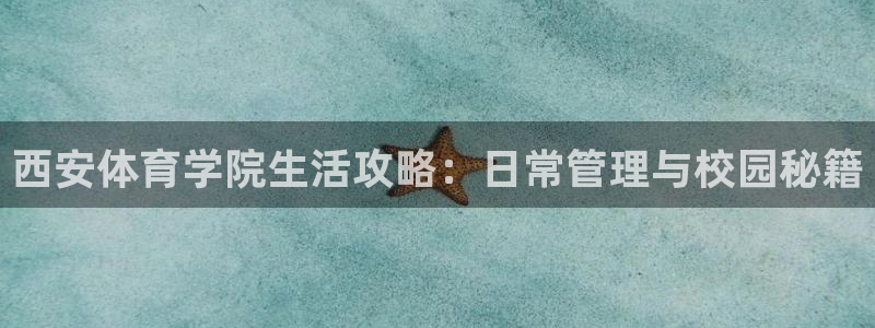 必一体育bsport