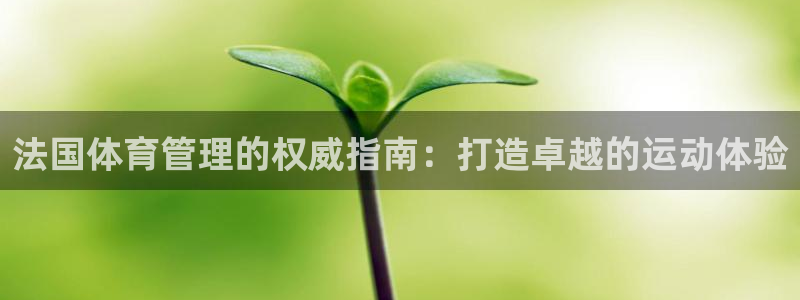 必一体育手机下载：法
