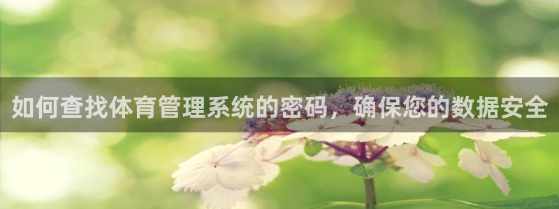 必一体育官网网站：如