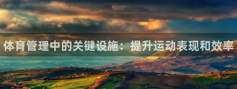必一体育登录APP下