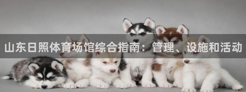 必一体育下载义：山东