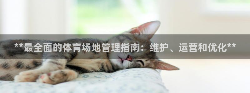 必一体育周公：**最