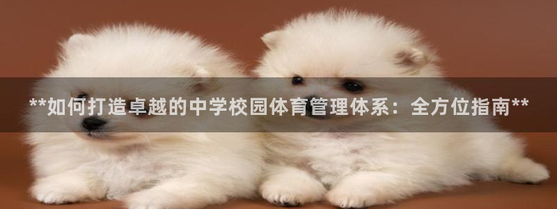 必一运动sport爱