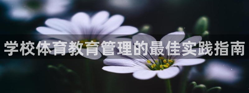 b体育必一下载：学校