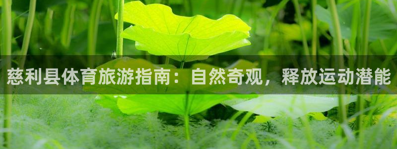必一体育官网ios下