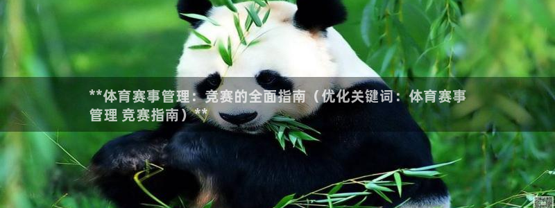 必一体育sport下