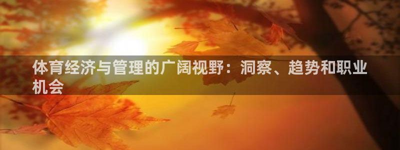必一体育官网入口：体