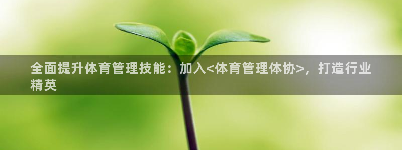 必一运动体育官网下载