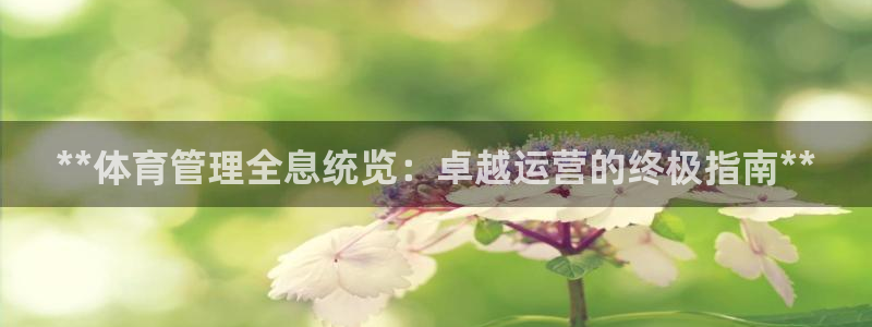 必一体育是哪里的台子
