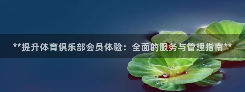 必一体育登入：**提
