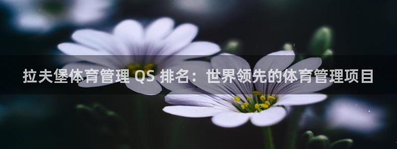必一运动tieba.