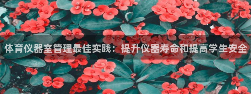 必一运动aop：体育