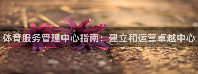必一体育流水线是什么