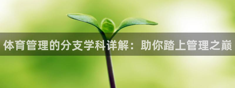 必一体育APP：体育