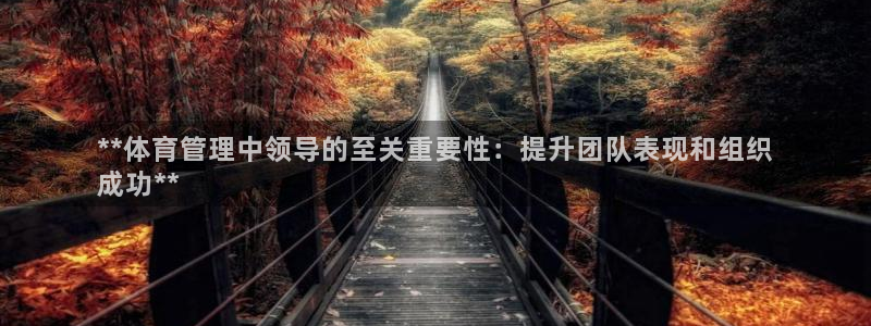 b体育官网下载入口a