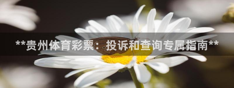 必一体育官网网址：*