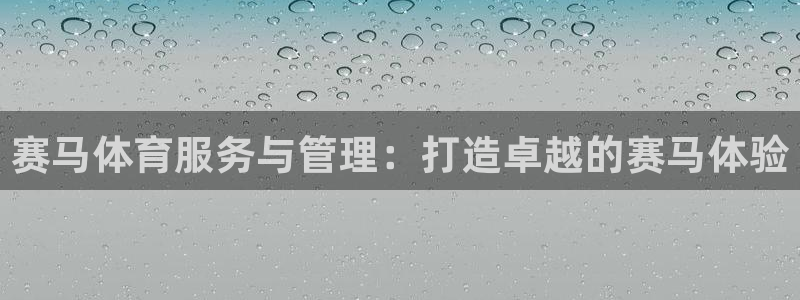 必一体育秀给网：赛马