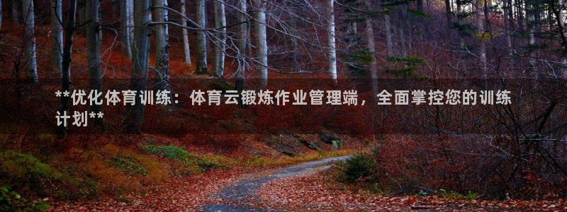 必一运动sport网