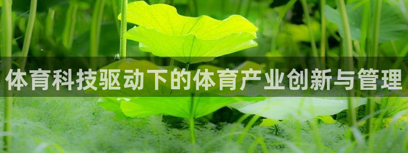 必一体育下载：体育科