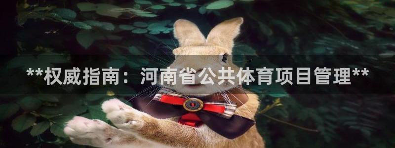 必一体育bsport