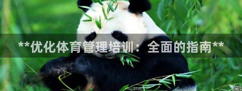 必一体育登录：**优
