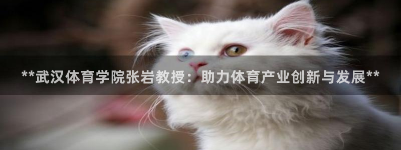 必一体育合法吗：**