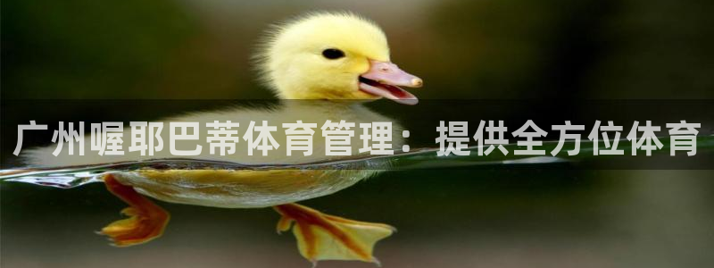 必一体育sport官