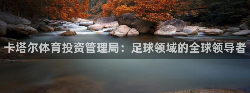 必一体育网页登陆：卡