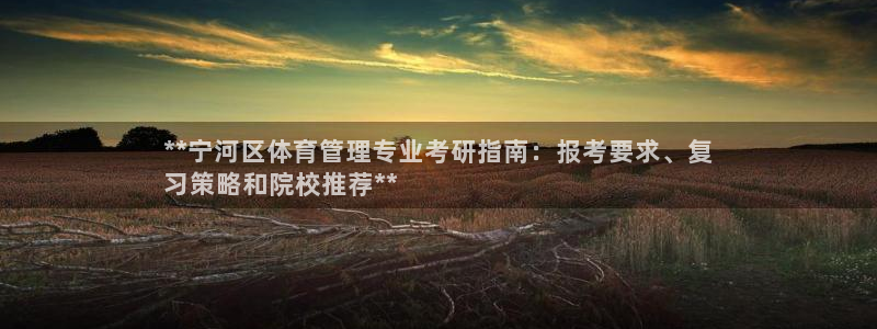 必一体育网址：**宁